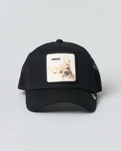 Berretto Goorin Bros trucker Amigo nero con patch chihuahua