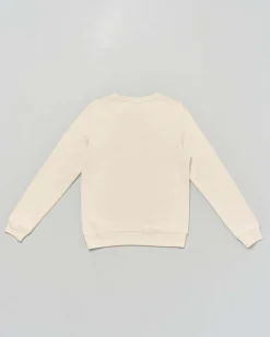 Felpa Calvin Klein beige a maniche lunghe con logo monogram azzurro