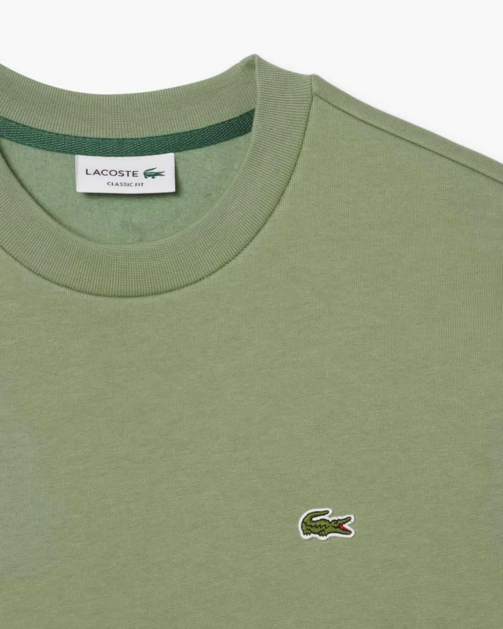 Felpa girocollo Lacoste verde salvia con logo coccodrillo ricamato sul petto