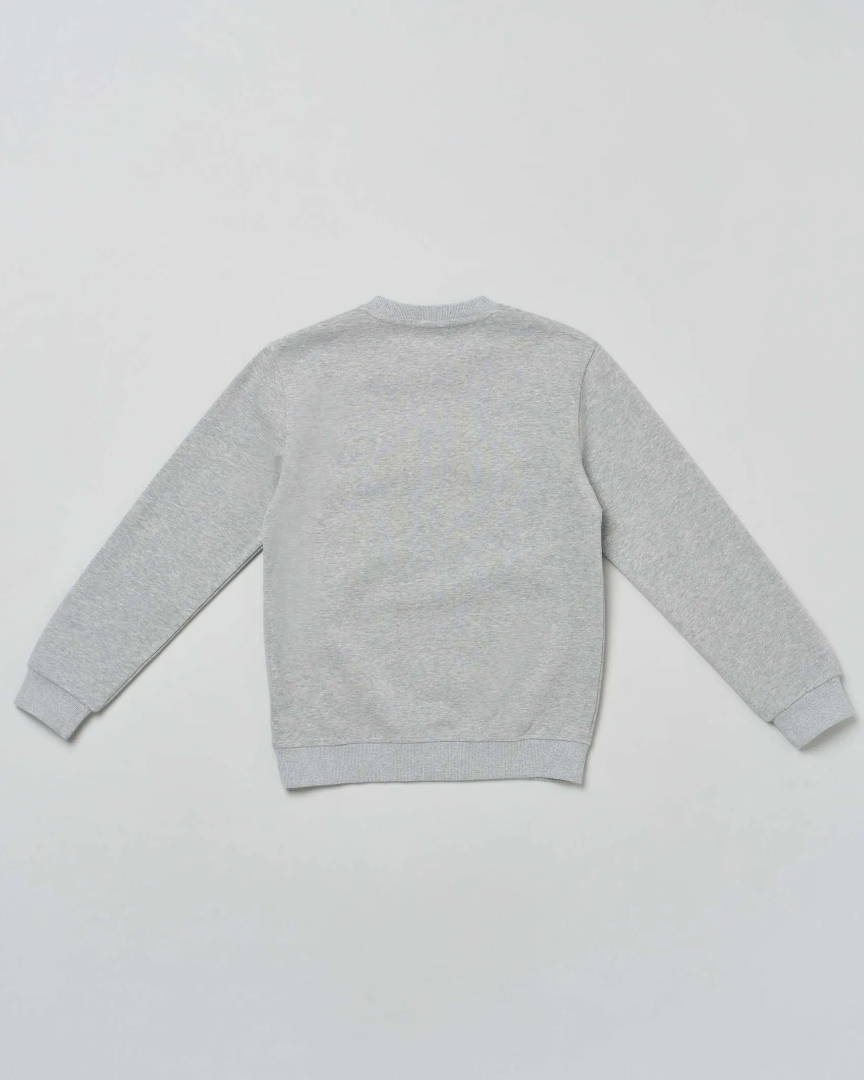 Felpa Jeckerson grigia in cotone con scritta logo blu spugna