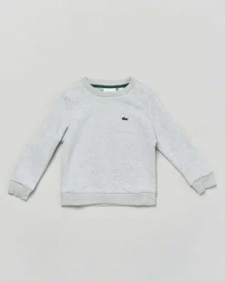 Felpa Lacoste grigia in cotone felpato girocollo con logo icon