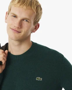 Maglia girocollo Lacoste verde in lambswool di pura lana