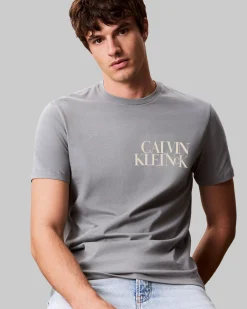 T-shirt Calvin Klein Jeans grigia in cotone con logo scritta sul petto