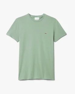 T-shirt Lacoste verde salvia in pima cotton con logo coccodrillo verde